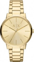 Laikrodis moterims Armani Exchange AX2707 цена и информация | Женские часы | pigu.lt