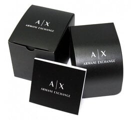 Laikrodis moterims Armani Exchange AX5578 цена и информация | Женские часы | pigu.lt