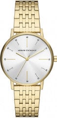 Laikrodis moterims Armani Exchange AX5579 цена и информация | Женские часы | pigu.lt