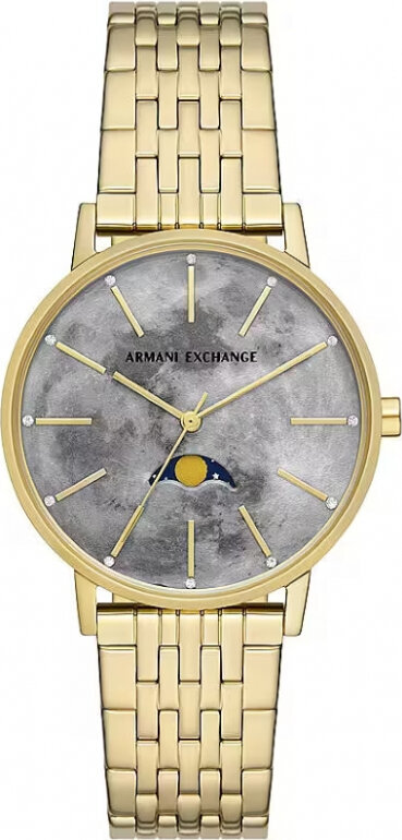 Laikrodis moterims Armani Exchange AX5586 цена и информация | Moteriški laikrodžiai | pigu.lt