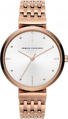 Laikrodis moterims Armani Exchange AX5901 цена и информация | Женские часы | pigu.lt