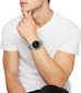 Laikrodis vyrams Breil EW0469 kaina ir informacija | Vyriški laikrodžiai | pigu.lt