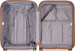 Vidutinis lagaminas Delsey Promenade Hard 2.0 Expandable, M, sidabrinis kaina ir informacija | Lagaminai, kelioniniai krepšiai | pigu.lt