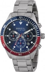 Мужские часы Breil EW0581 цена и информация | Мужские часы | pigu.lt