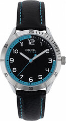 Часы мужские Breil EW0621 цена и информация | Мужские часы | pigu.lt