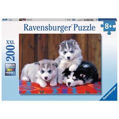 Dėlionė su šunimis Ravensburger Cute Huskies, 200 d. kaina ir informacija | Dėlionės (puzzle) | pigu.lt