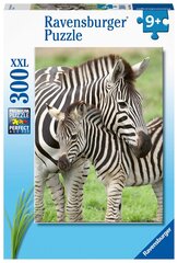 Dėlionė su zebrais Ravensburger Zebra Love, 300 d. kaina ir informacija | Dėlionės (puzzle) | pigu.lt