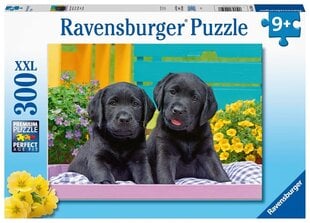 Dėlionė šuniukai Ravensburger 12950, 300 d. kaina ir informacija | Dėlionės (puzzle) | pigu.lt