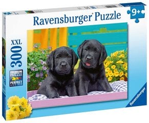 Dėlionė šuniukai Ravensburger 12950, 300 d. kaina ir informacija | Dėlionės (puzzle) | pigu.lt