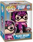 Funko Pop! DC Super Heroes Black Orchid 435 62704 kaina ir informacija | Žaidėjų atributika | pigu.lt