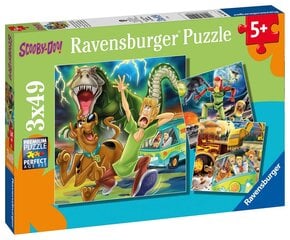 Ravensburger Puzzle Scooby Doo 3x49p 5242 цена и информация | Пазлы | pigu.lt