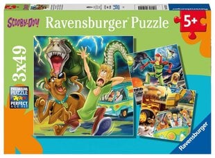 Ravensburger Puzzle Scooby Doo 3x49p 5242 цена и информация | Пазлы | pigu.lt