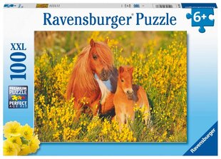 Dėlionė Ravensburger su poniais Shetland Pony, 13283, 100 d. kaina ir informacija | Dėlionės (puzzle) | pigu.lt