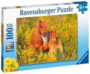 Dėlionė Ravensburger su poniais Shetland Pony, 13283, 100 d. kaina ir informacija | Dėlionės (puzzle) | pigu.lt