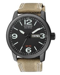 Мужские часы Citizen PROMASTER ECO DRIVE цена и информация | Мужские часы | pigu.lt