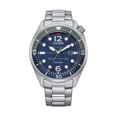 Laikrodis moterims Citizen AW1716-83L kaina ir informacija | Moteriški laikrodžiai | pigu.lt