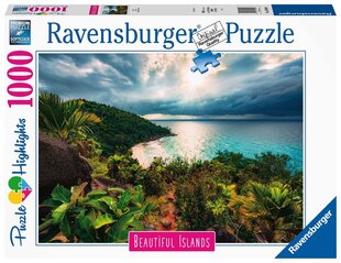 Dėlionė Havajai Ravensburger 16910, 1000 d. kaina ir informacija | Dėlionės (puzzle) | pigu.lt