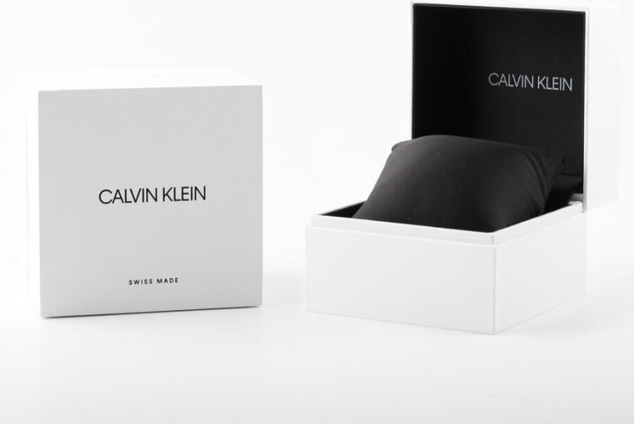 Laikrodis moterims Calvin Klein 25200164 цена и информация | Moteriški laikrodžiai | pigu.lt