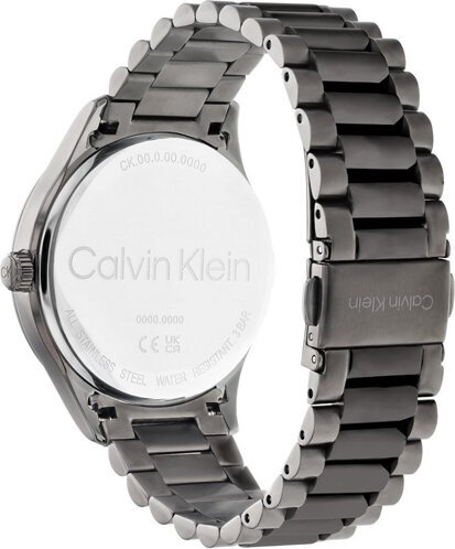 Laikrodis moterims Calvin Klein 25200164 цена и информация | Moteriški laikrodžiai | pigu.lt