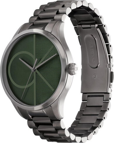 Laikrodis moterims Calvin Klein 25200164 цена и информация | Moteriški laikrodžiai | pigu.lt