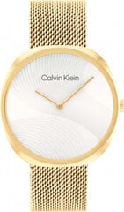 Женские часы Calvin Klein 1685215. цена и информация | Женские часы | pigu.lt