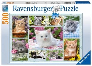Dėlionė Ravensburger Kačiukas krepšyje, 14196, 500 d. kaina ir informacija | Dėlionės (puzzle) | pigu.lt