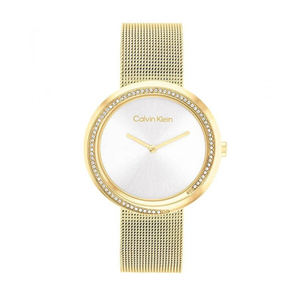 Laikrodis moterims Calvin Klein 25200150 kaina ir informacija | Moteriški laikrodžiai | pigu.lt