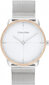 Laikrodis moterims Calvin Klein 25200157 kaina ir informacija | Moteriški laikrodžiai | pigu.lt