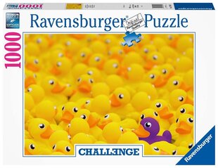 Dėlionė Ravensburger su ančiukais Squeaky, 17097, 1000 d. kaina ir informacija | Dėlionės (puzzle) | pigu.lt