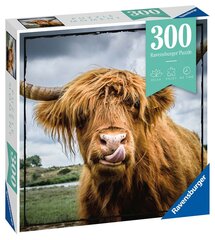 Dėlionė Ravensburger Aukštumų galvijai, 13273, 300 d. kaina ir informacija | Dėlionės (puzzle) | pigu.lt