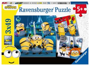 Dėlionė Ravensburger Pakalikai/Minions, 5082, 3x49 d. kaina ir informacija | Dėlionės (puzzle) | pigu.lt