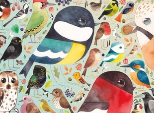 Пазл Ravensburger British birds, 500 д. цена и информация | Пазлы | pigu.lt