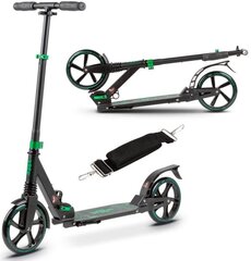 WXM Urban Scooter Folding RSN-B01 Зеленый удар поглотителям цена и информация | Самокаты | pigu.lt