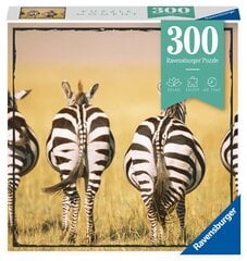 Dėlionė su zebrais Ravensburger 13312, 300 d. kaina ir informacija | Dėlionės (puzzle) | pigu.lt