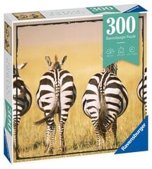 Dėlionė su zebrais Ravensburger 13312, 300 d. kaina ir informacija | Dėlionės (puzzle) | pigu.lt