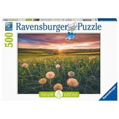 Пазл Ravensburger 500 шт Поле одуванчиков цена и информация | Пазлы | pigu.lt