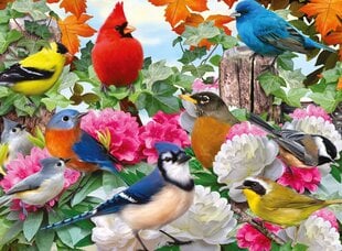 Равенсбургер головоломка садовые птицы 500pc 14223 цена и информация | Пазлы | pigu.lt