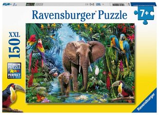 Dėlionė Ravensburger su drambliais Oasis, 12901, 150 d. kaina ir informacija | Dėlionės (puzzle) | pigu.lt