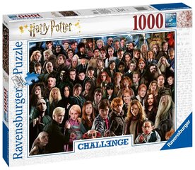 Пазл Ravensburger Challange Harry Potter, 14988, 1000 д. цена и информация | Пазлы | pigu.lt