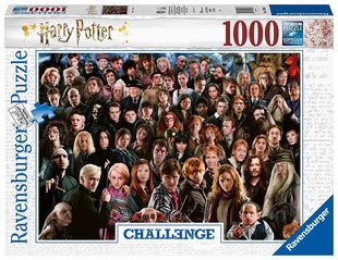 Пазл Ravensburger Challange Harry Potter, 14988, 1000 д. цена и информация | Пазлы | pigu.lt