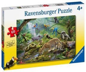 Dėlionė Ravensburger su gyvūnais Atogrąžų miškų gyvūnai, 5166, 60 d. kaina ir informacija | Dėlionės (puzzle) | pigu.lt