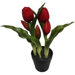 Tulpės vazone kaina ir informacija | Dirbtinės gėlės | pigu.lt
