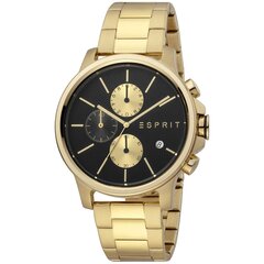 Мужские часы Esprit ES1G155M0085 цена и информация | Женские часы | pigu.lt