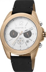 Мужские часы Esprit ES1G159L0035 цена и информация | Мужские часы | pigu.lt