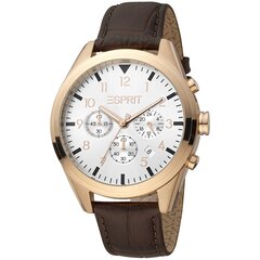 Мужские часы Esprit ES1G339L0045 цена и информация | Мужские часы | pigu.lt