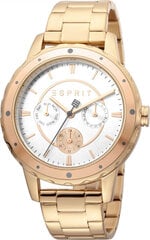 Laikrodis moterims Esprit ES1L140M0115 kaina ir informacija | Moteriški laikrodžiai | pigu.lt