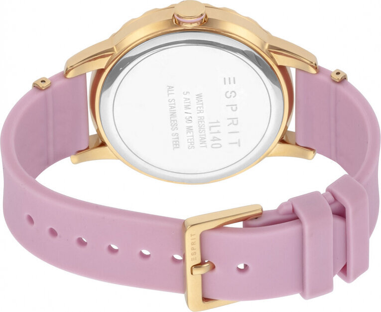 Moteriškas laikrodis Esprit kaina ir informacija | Moteriški laikrodžiai | pigu.lt