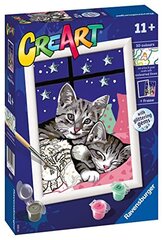 Ravensburger - серия Creart и сладкие котята, краска 11+ лет, 202133 цена и информация | Набор для рисования по номерам | pigu.lt