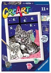 Ravensburger - серия Creart и сладкие котята, краска 11+ лет, 202133 цена и информация | Живопись по номерам | pigu.lt