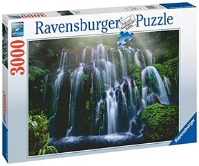 Dėlionė kriokliai Ravensburger 10217116, 3000 d. kaina ir informacija | Dėlionės (puzzle) | pigu.lt